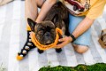 happy socks